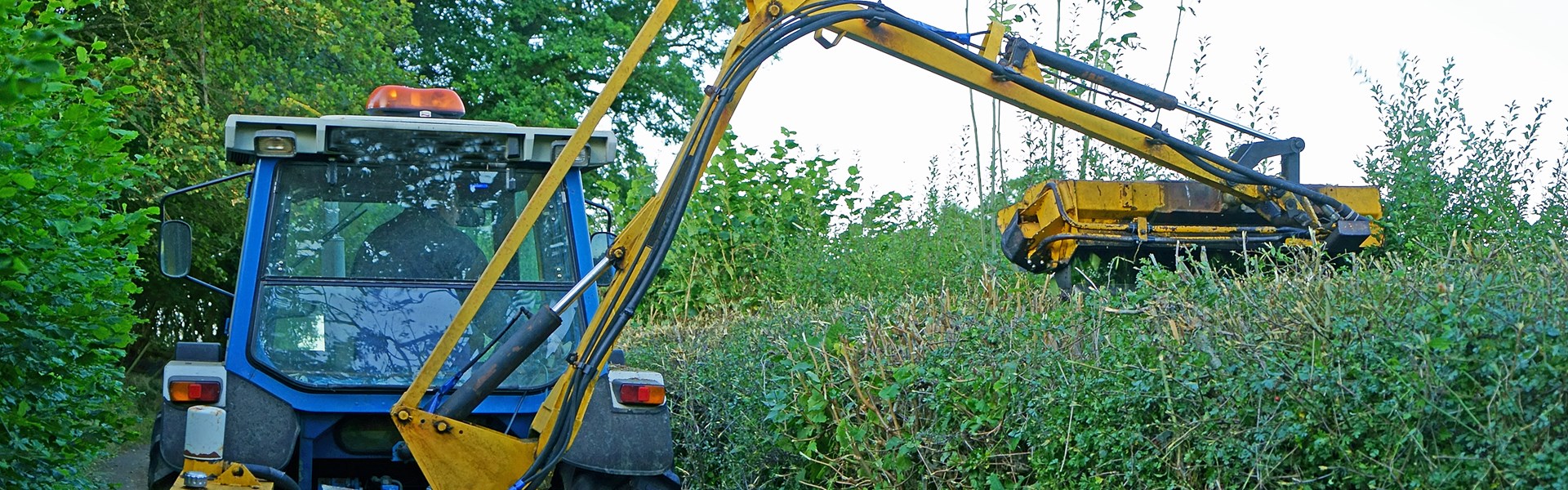 Tractor hedge cutting