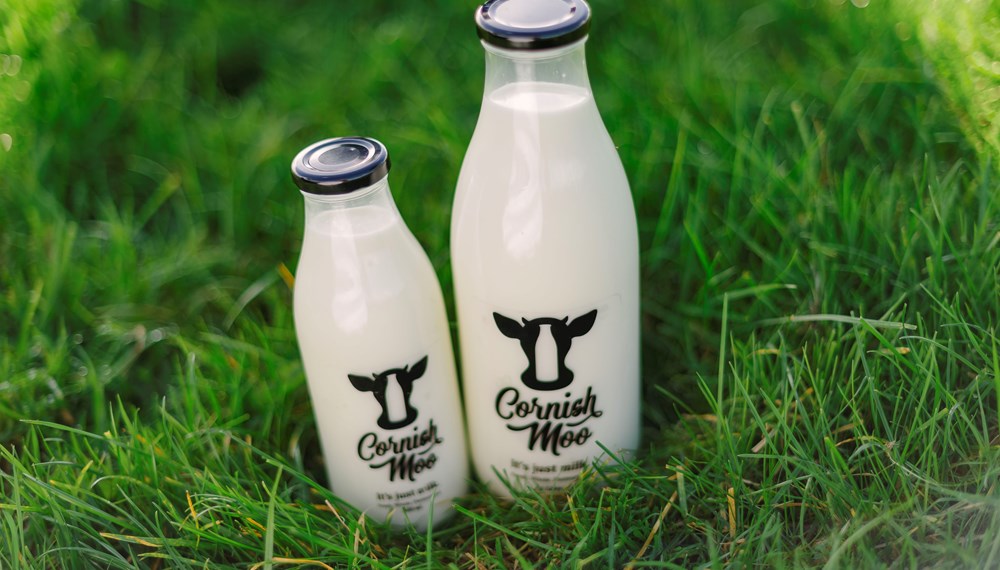 Cornish Moo Glass Milk Bottles in Field
