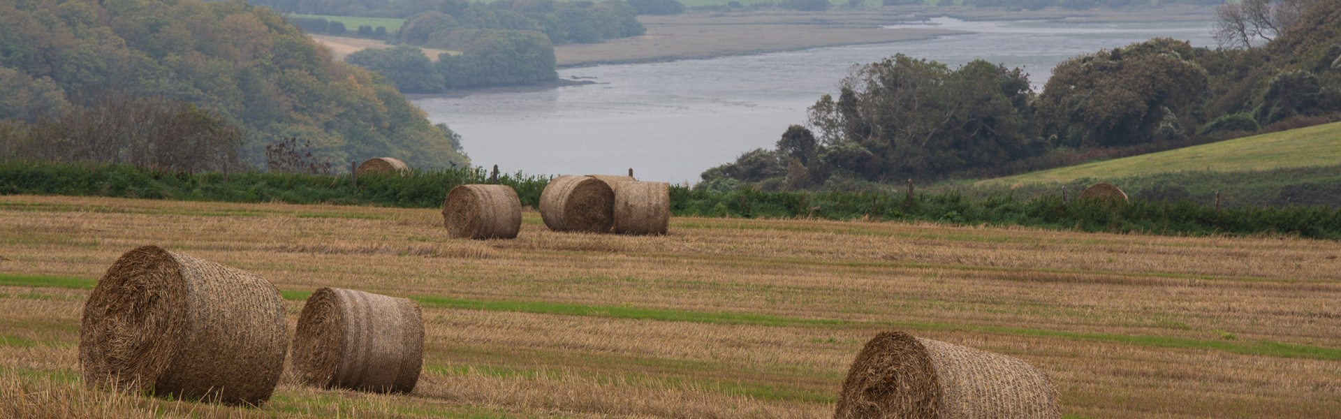 Haybales In A Field