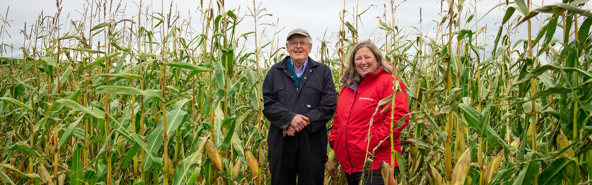 Local insurance advisor in field with arable farmer