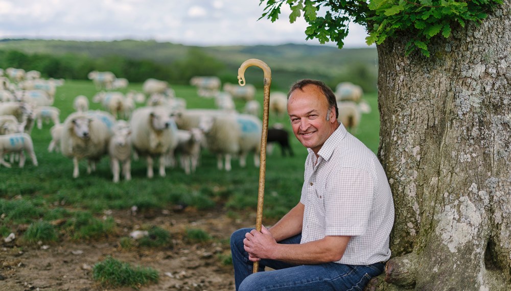 Farming Member Clive Sage Sat Against Tree With Sheep In Background