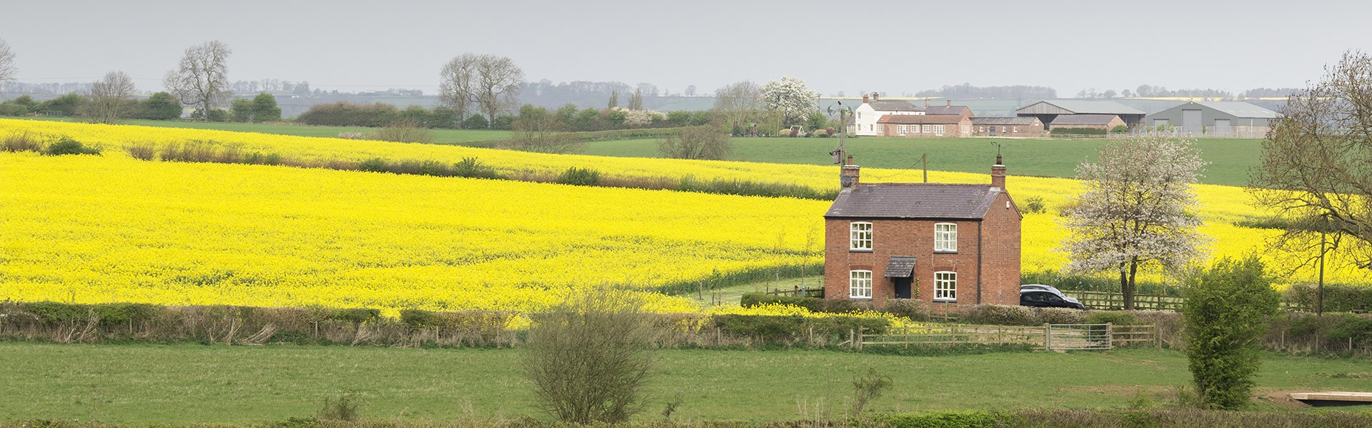 Farm house surrounded by fields