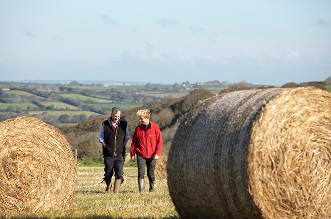Insurance Advisor And Farmer Walking Together In Field With Hay Bales