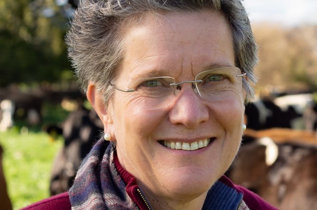 Professor Nicola Shadbolt profile image