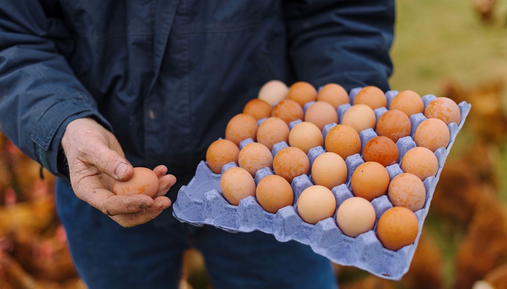 Cornhill Farm free range eggs in egg carton