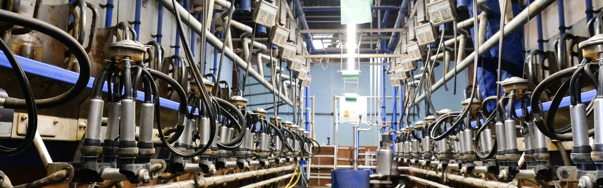 Rotary milking parlour