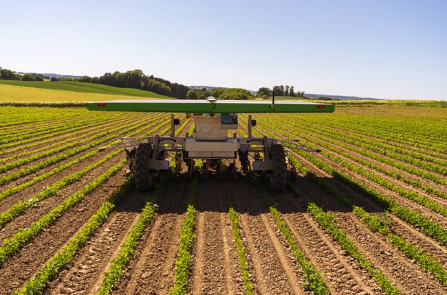 weeding robot