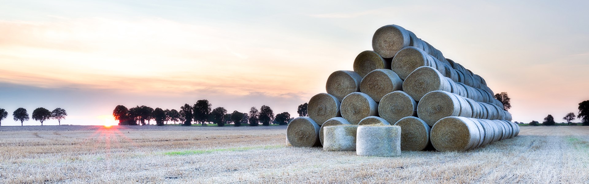 Haybales stacked in a field