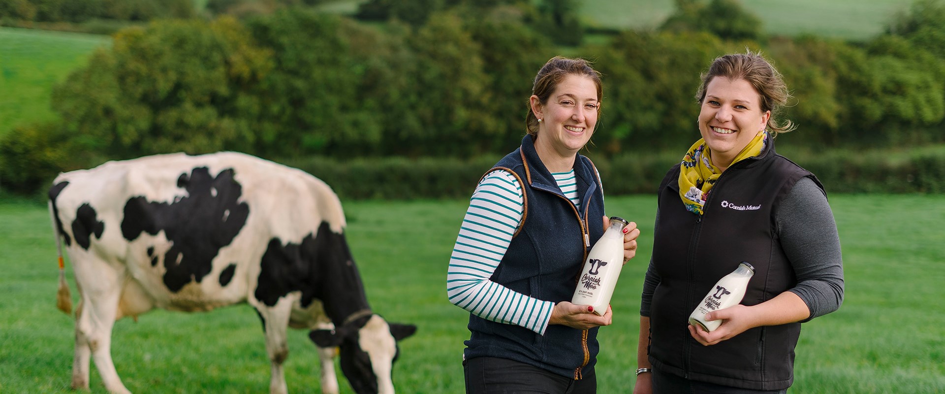 Insurance Advisor with Dairy Farmer Member