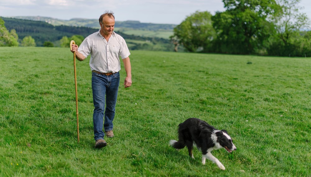 Clive Sage Walking In Field With Pet Collie