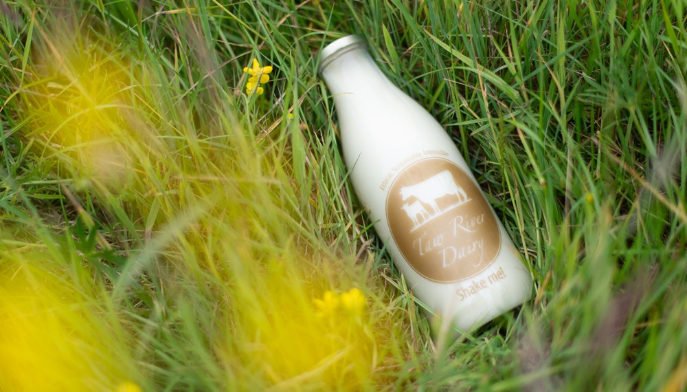 Taw River Dairy Glass Milk Bottle in Field